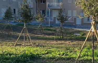 La Petite Maison Montopoli - Foto 3