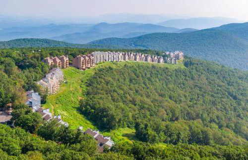 Three Ridges 05 With Wintergreen Advantage - Foto 19