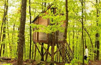 Maine Woods Treehouse-The Birdie - Foto 10