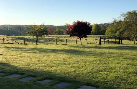 High Cunsey Farm - Foto 42