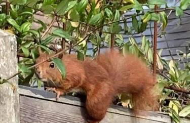 Oyster Lodge - Foto 30