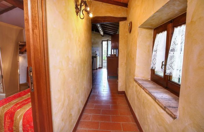 Bellavista farm of Quercini Maurizio - Foto 66