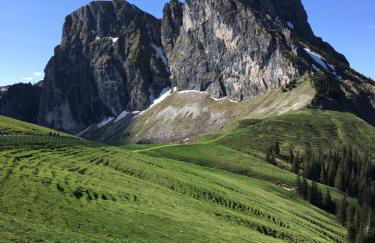 VitAllgäu-Neues Studio mit Königscard - Foto 35