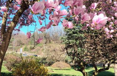 La casetta di Gianni - Foto 13