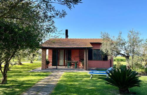 Agriturismo Valdo - Foto 39