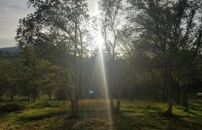 St Anna's House - Foto 54