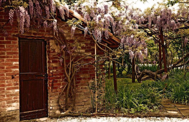 Agriturismo Il Gioco dell'Oca - Foto 41