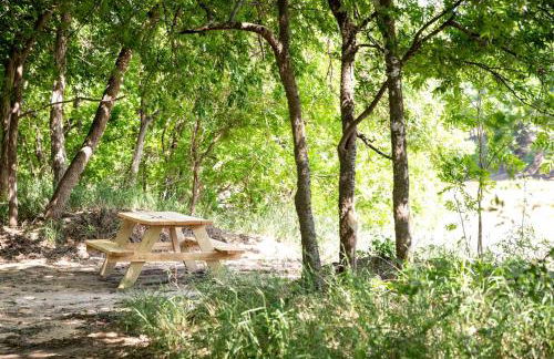 Hobbit Treehouse with Waterfall on the Brazos River for Glamping in Texas - Foto 31