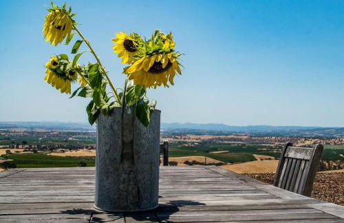 Top of the Hill - Foto 42