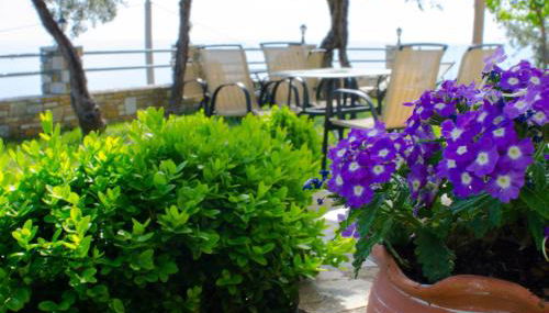 Guesthouse Enastron - Foto 3