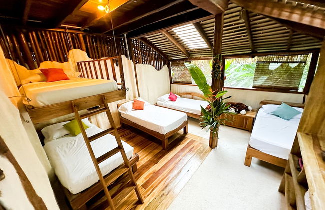 Casa Vida Verde - Foto 6