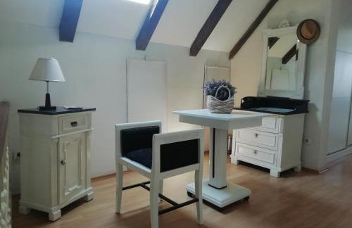 Studio apartman u renesansnoj vili - Foto 17