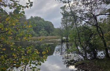 Przystań 46 - Foto 51