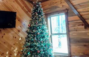 King Suite! Hot Tub, Arcade Games, L2 EV, Fire Pit, Kids Playset, Ping Pong, Dog Friendly - Foto 63