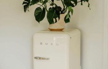 LaChillmaisonnette - Foto 22