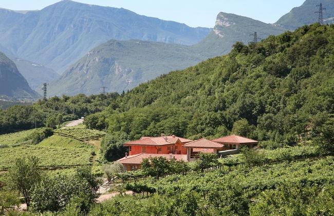 Maso Fiorini - Photo 10