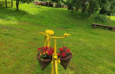 Dorina hiža - Foto 21