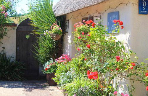 The Nest - Thatched seaside country cottage for two - Foto 20