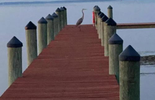 Tranquil Waters - Foto 62