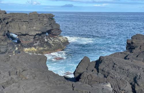 Casa do Carregadouro - Seaside Retreat - Photo 40