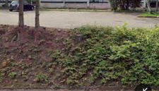 Un temps pour vous - Foto 3