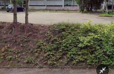 Un temps pour vous - Foto 3