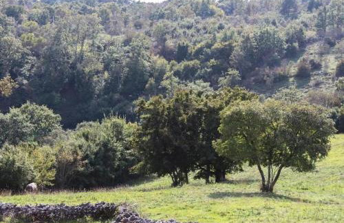 Holiday Home Arton Villa mit beheiztem Pool- in Istrien by Interhome - Foto 43