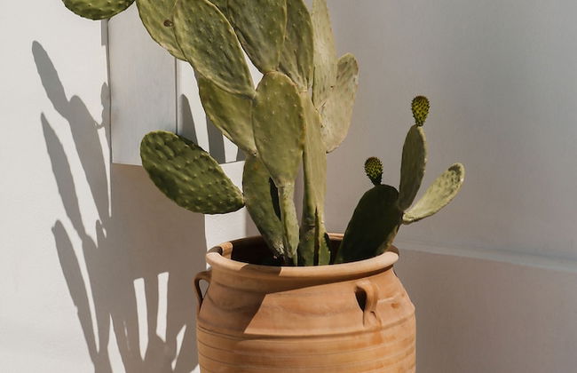 The Z Private Villa Santorini - Foto 45