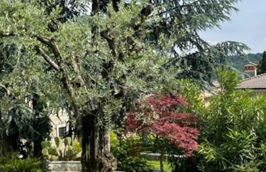 La casa in collina - Foto 43