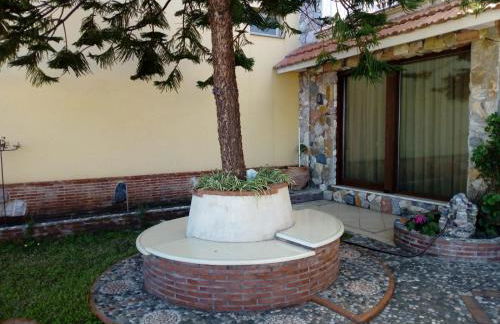 Una Araucaria sul mare - Foto 34