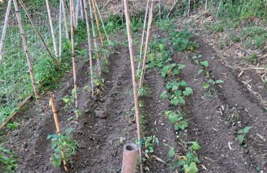 DOLCE VITA IN TUSCANY Cottage - Foto 58