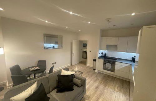 Superior Large Suite Luxury Living City Apartment, 2 Kingsize Bedrooms Business Suite - Free WiFi - Foto 21