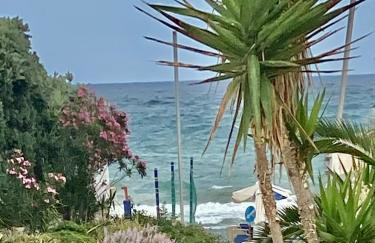 Mikes on the beach - Foto 30