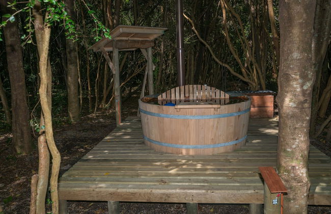 Cabañas Ensenada Bosque Nativo - Foto 35