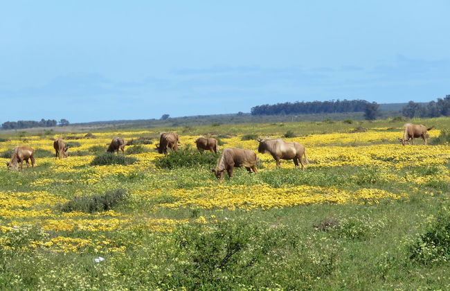 L'Ermitage Quagga Lodge - Photo 32
