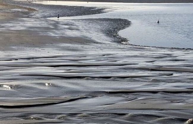 Poppenbull Thatched House - Foto 59