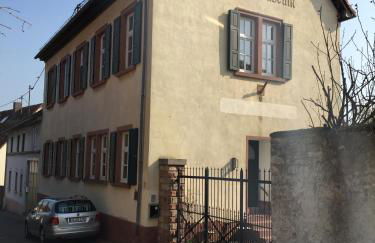 Alte Schule Wachenheim im Zellertal - Foto 2