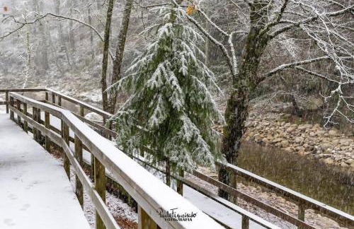 Senhora da Estrela AL - Foto 36