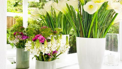 White Apartment Hamburg - Foto 2, Garden, Garden view