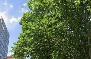 BERNABEU, luxury y luminoso apartamento entero - Photo 31