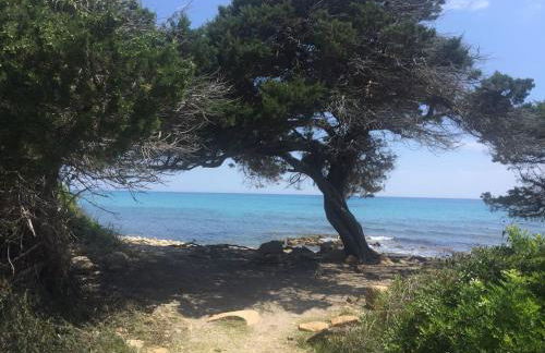 Appartamento Panorama 1 - Foto 40