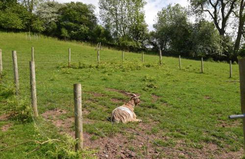 2 Bed in Abergavenny oc-bn284 - Foto 20