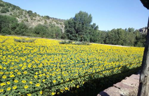 CASA EL AZUD - Foto 17