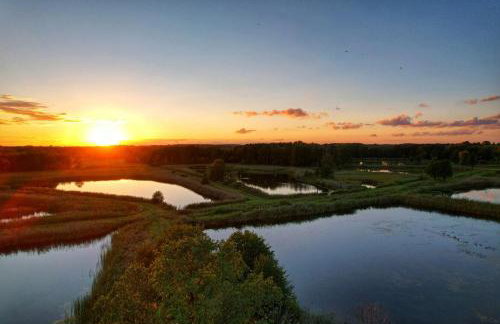 SZUMI ROSA - Foto 77