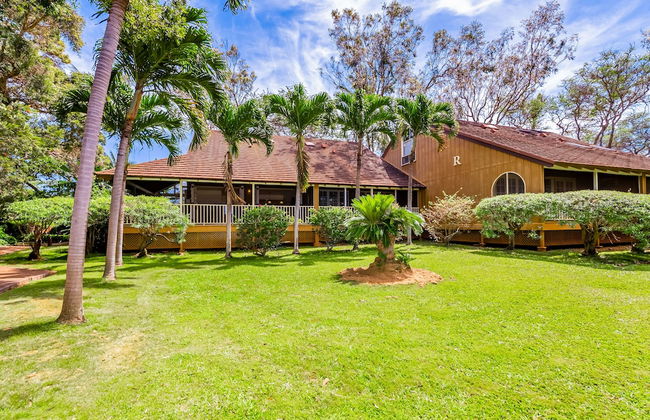 Paniolo Hale - Foto 32