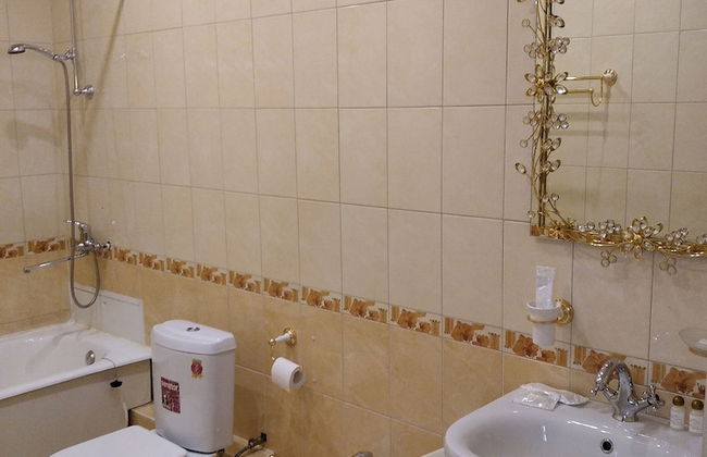 VIZIT Guesthouse - Photo 43