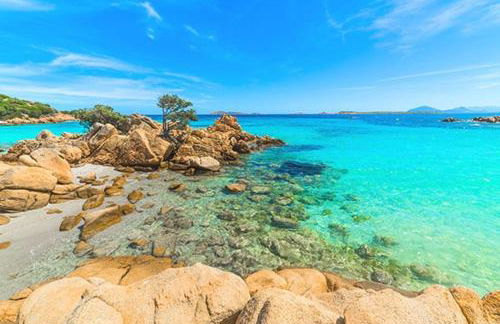 Baja Sardinia Terrazza un passo dal Mare - AC - Foto 5