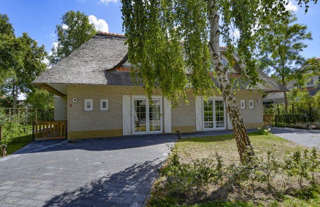 Citta Romana - Photo 11