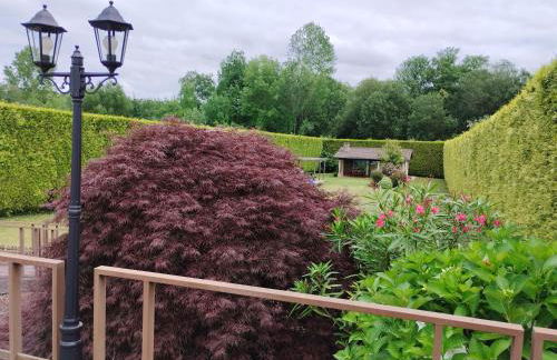 Finca O Loureiro - Foto 16