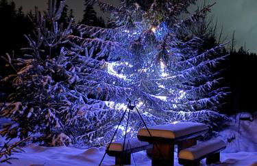 WRÓBLOWA CHALET przy Dolinie Chochołowskiej - Foto 47